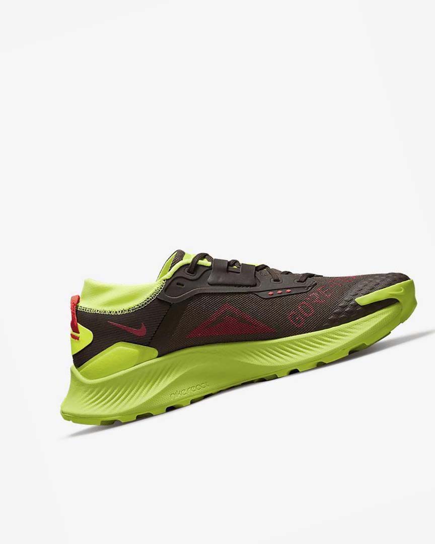 Zapatillas De Trail Running Nike Pegasus Trail 3 GORE-TEX Hombre Chocolate Oscuro Rojas Claro | CR2942