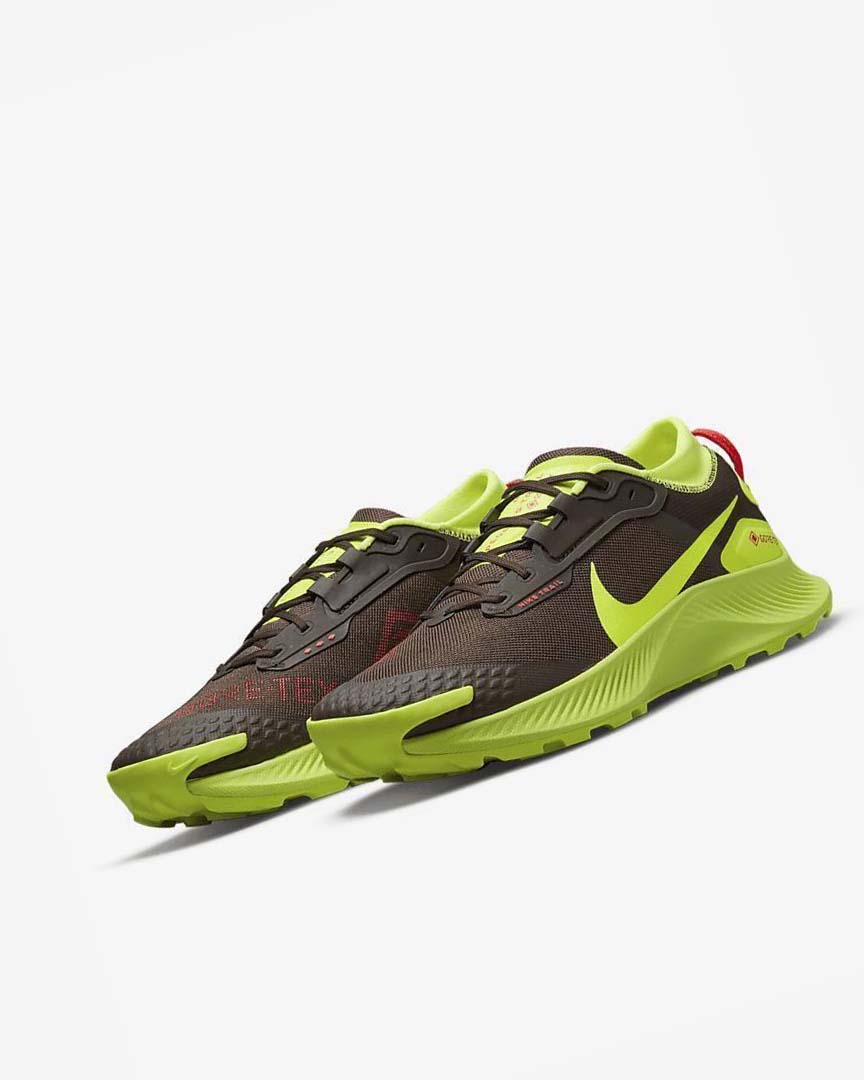 Zapatillas De Trail Running Nike Pegasus Trail 3 GORE-TEX Hombre Chocolate Oscuro Rojas Claro | CR2942