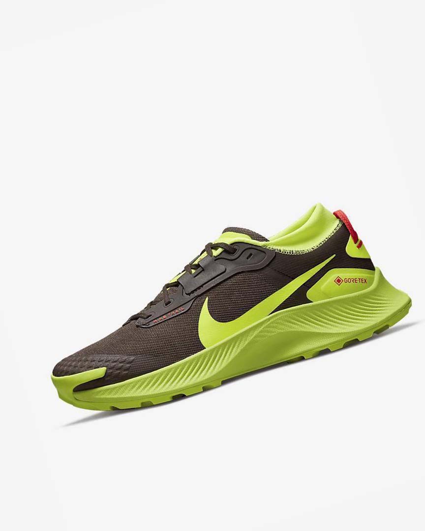 Zapatillas De Trail Running Nike Pegasus Trail 3 GORE-TEX Hombre Chocolate Oscuro Rojas Claro | CR2942