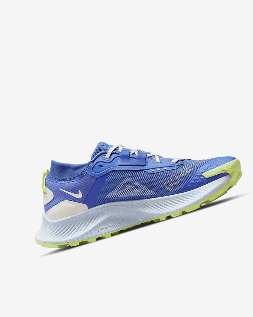 Zapatillas De Trail Running Nike Pegasus Trail 3 GORE-TEX Waterproof Mujer Azules Marrones Gris | CR3277