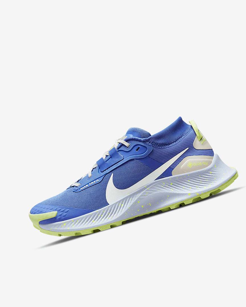 Zapatillas De Trail Running Nike Pegasus Trail 3 GORE-TEX Waterproof Mujer Azules Marrones Gris | CR3277