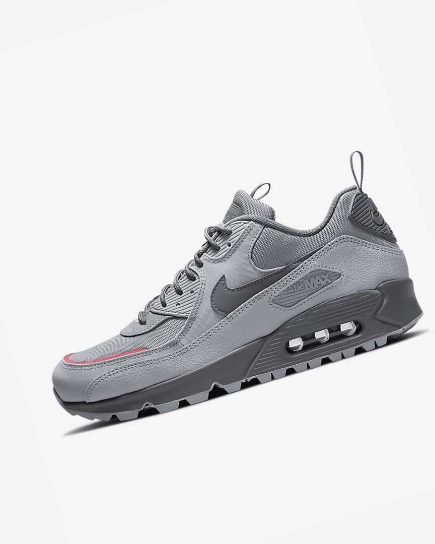 Zapatillas Nike Air Max 90 Surplus Hombre Gris Rosas Azules Claro Gris | CR2281