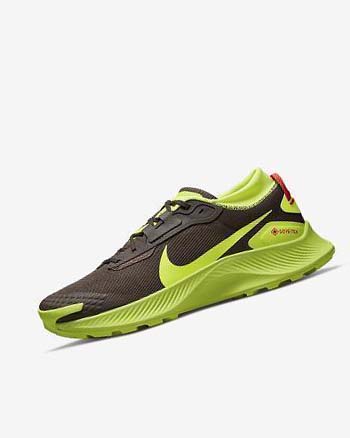 Zapatillas De Trail Running Nike Pegasus Trail 3 GORE-TEX Hombre Chocolate Oscuro Rojas Claro | CR2942