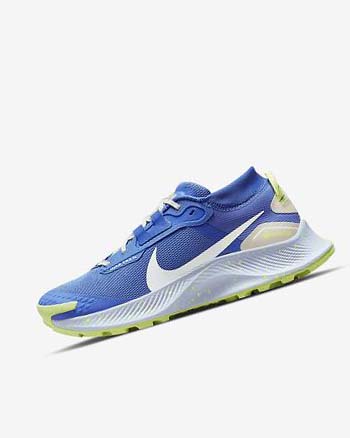 Zapatillas De Trail Running Nike Pegasus Trail 3 GORE-TEX Waterproof Mujer Azules Marrones Gris | CR3277