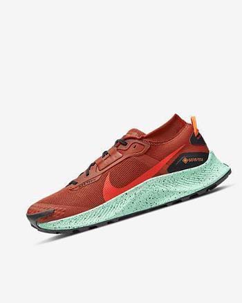 Zapatillas De Trail Running Nike Pegasus Trail 3 GORE-TEX Waterproof Hombre Naranjas Negras Naranjas Rojas | CR5482